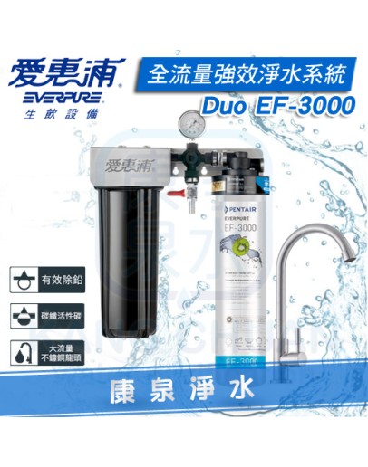 EVERPURE 台灣愛惠浦全流量強效碳纖維系列 整合式雙管淨水系統 PURVIVE-Duo EF-3000