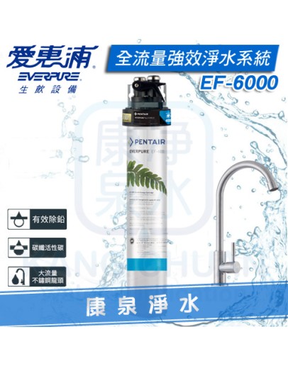 EVERPURE 台灣愛惠浦全流量強效碳纖維系列淨水系統 PURVIVE EF-6000