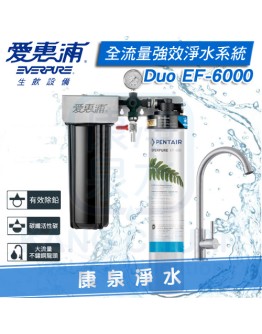 EVERPURE 台灣愛惠浦全流量強效碳纖維系列 整合式雙管淨水系統 PURVIVE-Duo EF-6000