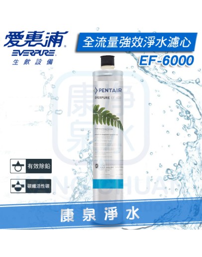 EVERPURE 台灣愛惠浦全流量強效碳纖維系列 PURVIVE EF-6000 濾心