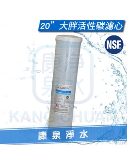 美國 NSF 42認證 LIQUATEC 20吋 大胖通用規格/標準規格 CTO活性碳濾心 ~ 一箱再特價