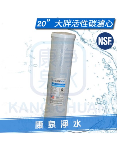 美國 NSF 42認證 LIQUATEC 20吋 大胖通用規格/標準規格 CTO活性碳濾心 ~ 一箱再特價